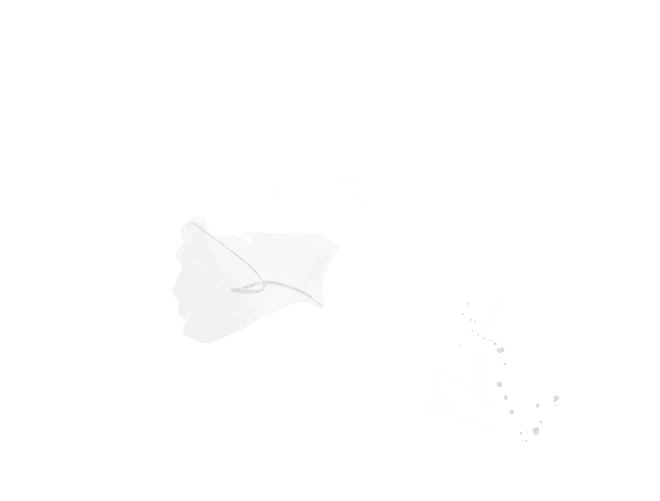 Offset Image